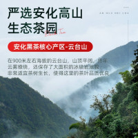 茶马世家2015年天尖手筑茯砖(1千克)-绿