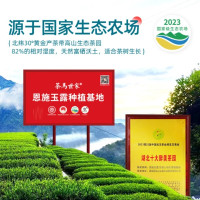 茶马世家国风如意特级恩施玉露双铁罐礼盒装150g(75g*2盒)