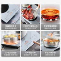 苏泊尔(SUPOR)甄晶系列电磁炉C22-IA922配双锅