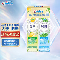 佳洁士(CREST) 80767059 双色锁白牙膏120GX2(薄荷+白茶) 组 牙膏