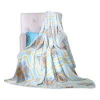 富安娜 伊斯菲尔 面料:聚酯纤维/规格:180*200cm/重量:毛重约1.58kg净重约1008g 条 毯子