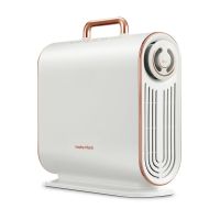 摩飞(MORPHYRICHARDS) MR2070 300*97*315 1.96kg 360w 台 烘干机