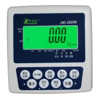 杰特沃 JPS-600kg 经济型计重电子秤300kg,最小感量20g 个 电子吊秤