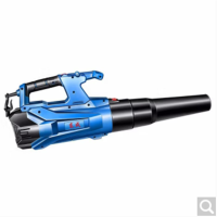 东成(DONGCHENG) Q1F-FF-120 1200W 把 电动吹风机