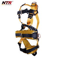 耐特尔(NATLEER) NFPHBK04 全身配2米双绳 涤纶 条 安全带