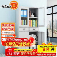 钱柜(PARTYWORLD) 1800*850*390mm 厚0.6mm二斗器械文件柜 冷轧钢板 台 文件柜