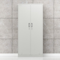 臻远 ZY-GYGA-1 2门储物柜1800*850*420mm 冷轧钢板 台 储物柜