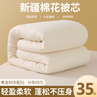南极人(NANJIREN) 被芯 1.5*2m 两用 约5斤 条 被子