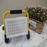 雄华照明 XH-YD0542-100HD 100W轻便耐摔充电型 个 巡检灯