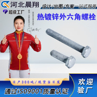 匹牧 M16*120 A2不锈钢 5支/盒 盒 膨胀锚栓