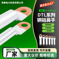 匹牧 DTL-240 铜铝 个 接线鼻子