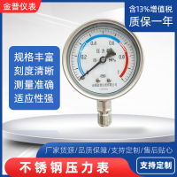 匹牧 Y-100AZ 0~1MPa 1.6级 M20*1.5 径向 不带边 不锈钢+铜 块 不锈钢压力表