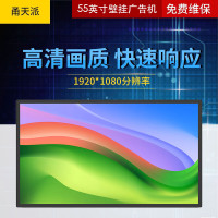 甬天派 TOPIT-T19BRA055-1 壁挂式55寸 广告机 1 台/台(计价单位:台) 黑色