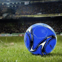 何大屋(Hodtown) HDW1725 5号健身运动足球 运动球类 (计价单位:个) 蓝色