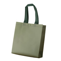 鲸轩 B101 28*30*10 无纺布袋文件袋 文件袋 (个) 抹茶绿