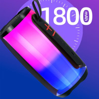 纽曼(Newmine)蓝牙音箱 BT12