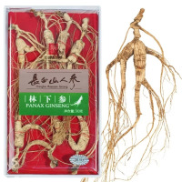 长白山人参 林下参亚克力盒30克/盒