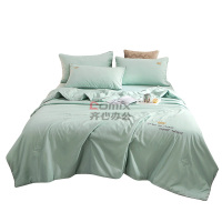伊伊爱 BZ0TDC2100736 /200*230cm 皇冠 四季棉大豆抗菌防螨夏被 1 件/条 (单位条) 浅绿_