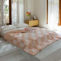 伊伊爱 BZ0SZ02201036 /200*230cm全棉格子色织双层纱夏凉被 被子 (计价单位:件) 浅绿格_