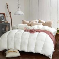 伊伊爱 BZ-8XWB-03 水洗棉 纯色保暖被 秋冬被 150*200cm 棉被 (计价单位:件) 玉色_