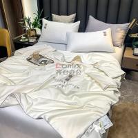 伊伊爱 BZ0TDC2201050 /150*200cm纯色全棉100S奥地利大豆夏被 被子 (单位:件) 奥地利白_