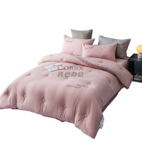 伊伊爱 BZ0TDC2100737 /220*240cm 皇冠 四季棉大豆抗菌防螨夏被 1 件/条 (单位条) 豆沙_