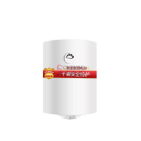 阿里斯顿(ARISTON) DOVE80VM1.8 80L 热水器 (计价单位:台) 白色_