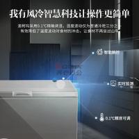 澳柯玛 BC/BD-312WD 312升 二级定频风冷无霜 冷藏冷冻转换 卧式冷柜 (计价单位:台) 炫金_