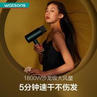 素士(SOOCAS) H5 1800W 绿 电吹风 (计价单位:个) 梵高绿_