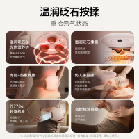 飞利浦牌腰部按摩器_