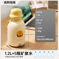 大宇便携式烧水壶 大容量户外保温壶 双层不锈钢电热加热水杯旅行热水壶旅游电水壶 巨无霸 D13S-YGH_