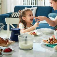 morphy richards摩飞 食物处理器MR9402_