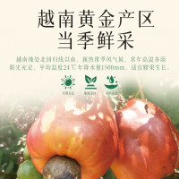 姚生记A180大颗粒紫皮腰果仁500g 越南腰果休闲零食 每日坚果炒货干果仁_