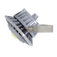 通明 ZY8607S-L80-200 185-264VAC 80W 防护等级IP66 5000K 防水防尘灯灰色_