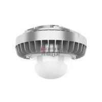 维莱奥斯 X-PTD1002-G(含安装) 100W 5700K IP66 WF2 220V LED平台灯 个 银色_