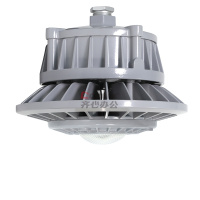 通明 ZY8607P-L80-200 165-264VAC 80W IP66 5000K 防水防尘灯 1 个/套灰色_