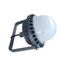 维莱奥斯 PTD1002-G含安装 100W 6500K IP65 WF2 220V LED平台灯 单位:个 银色_