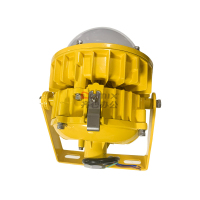 劲荣 DDZM8767 30W LED吸顶灯 (计价单位:个) 黄色_