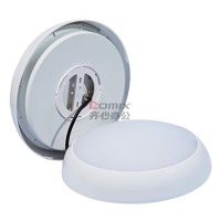 虎光风行 FL-BTC6155-50300*50 照明功率20W 色温6000K 光源类型 LED灯泡 个 白色_