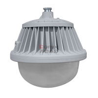 尚为(SEVA) SZSW7155-100W 100W IP66 5700K LED LED泛光灯 盏 银色_