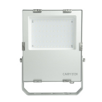 凯瑞 KLF5030 100W(智能调光) IP66 AC220V 6000K LED LED泛光灯 个 灰色_