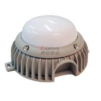 亮满分 TL-GD1206,10W,IP65,AC/DC36V/50HZ,6000K LED低压巷道灯 单位个 银色_