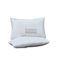 伊伊爱 YDJD0230617/50*80cm 全棉防羽布纯白薄枕芯 (计价单位:件) 白色_