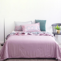 伊伊爱 Z01900116 220*240cm 天丝图拉本 夏被 纯色 简约空调被子 棉被 (计价单位:件)_