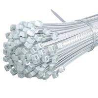 山泽(SAMZHE) ZD-01 2.5*100mm 1000个/包 尼龙扎带 (计价单位:包) 透明_