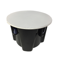 启诺(QN) QN-K117 吸顶(挂顶) 音箱 1.00 个/台 (计价单位:台) 白_