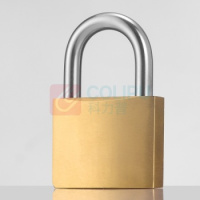 锦泰佑(JINTAIYOU) JTYts-d30 30mm 短粱通开铜锁 (计价单位:个) 金色_