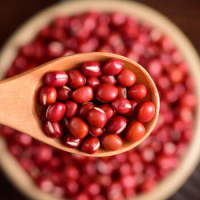 田知府红豆480g_