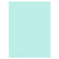 优拉(YOULA) 文鑫系列 80g A4 500张/本 凭证纸 12.00 本/箱 (计价单位:箱) 浅蓝色__