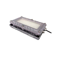 顶火 GMD9126-50W 220VAC 色温6500K IP68 LED 低顶灯 (计价单位:个) 银灰__